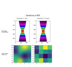 interpolation_none_vs_nearest